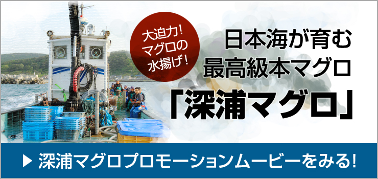 深浦マグロプロモーションムービー深浦マグロ【日本海が育む最高級本マグロ「深浦マグロ」】